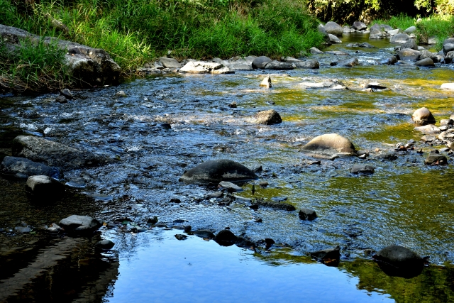 犬鳴山温泉 不動口館（ふどうぐちかん） - 緑豊かな渓流を眺めながら露天風呂で、心のデトックスを