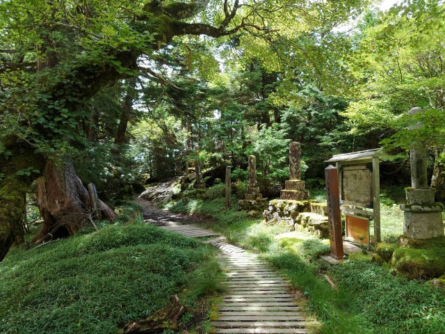世界遺産の地で楽しむ渓流キャンプ!みのずみオートキャンプ場(奈良県天川村)