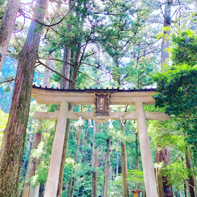 温泉も川遊びも!WATAZE OUTDOOR おとなしの郷(和歌山県田辺市)