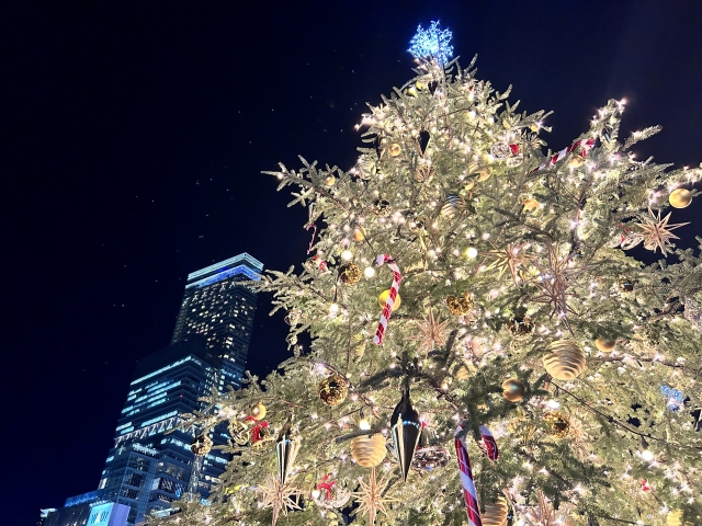 天空300メートルの絶景イルミネーション！あべのハルカスで過ごす特別なクリスマス