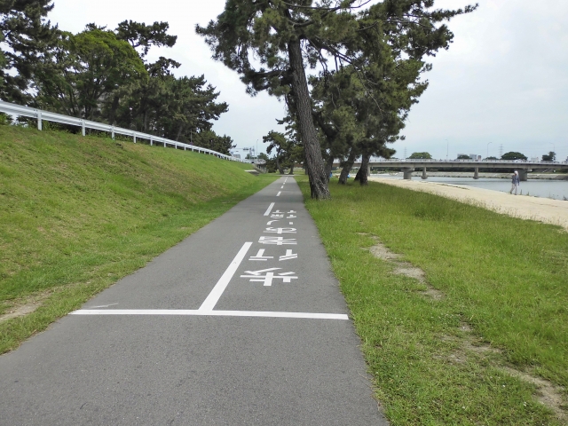神戸の景色を楽しみながら走る！武庫川サイクリングロード（兵庫県）