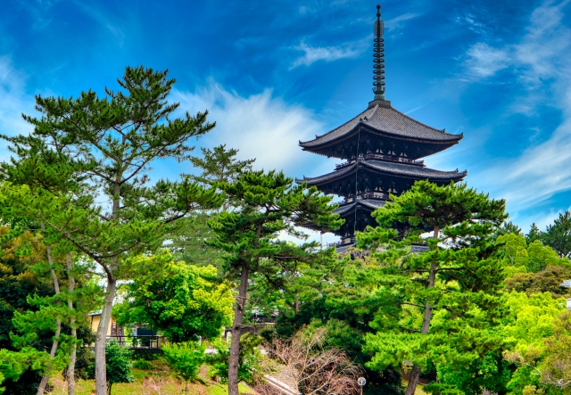奈良の世界遺産を満喫する一日旅!春日大社から平城宮跡まで