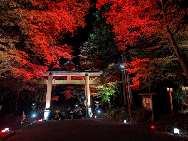 NAKED GARDEN ONE KYOTO 2024 比叡山坂本