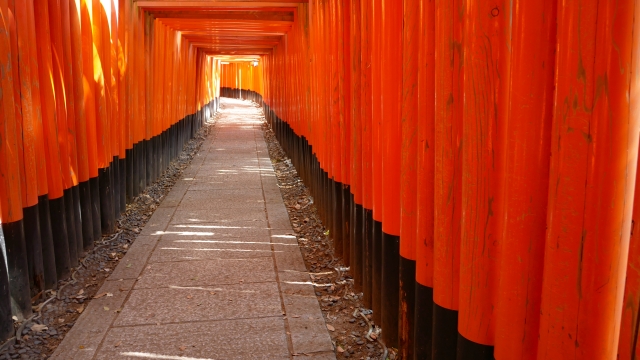 おすすめの初詣スポットで新年の願いを込めて