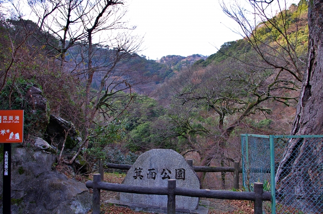 自然とホタルの共演を楽しめる「明治の森箕面国定公園」