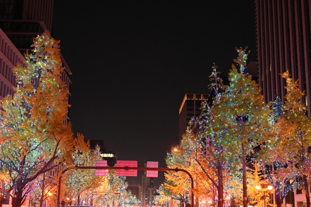 大阪の冬夜を魅了する「光の饗宴」：御堂筋から中之島までの光の旅