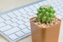 植物による仕事の効率化