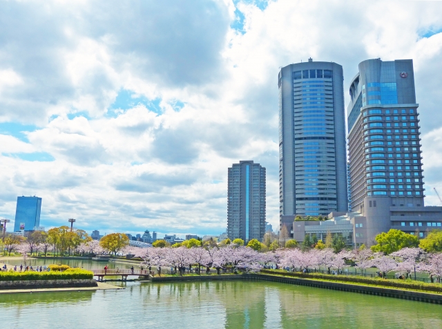 桜スポットは桜ノ宮公園から淀屋橋エリアへ