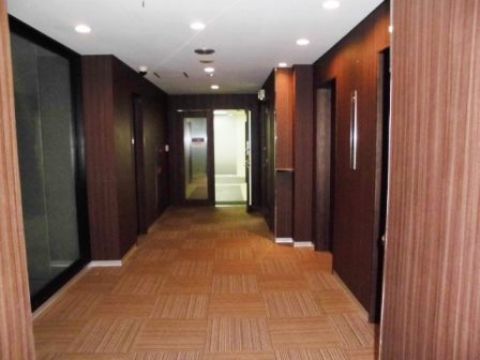 基準階、共用 廊下②