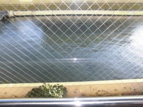 窓から大川の眺望