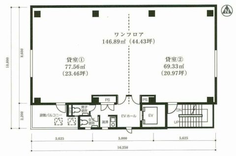 平面図