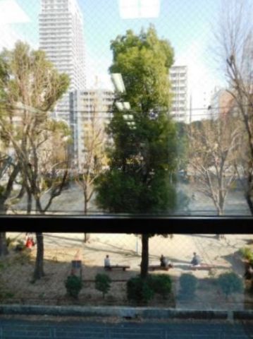 窓~の眺望(全面は公園)