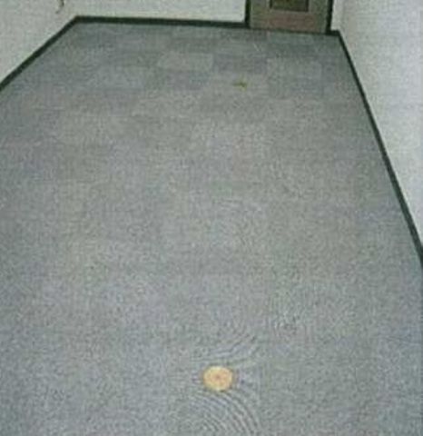 室内タイルカーペット