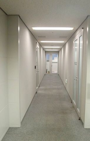 基準階、廊下