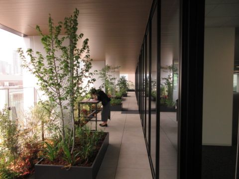 オフィステラス②