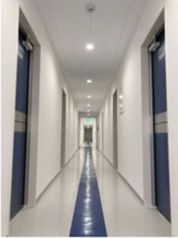 基準階、廊下