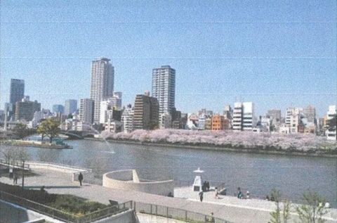 大川眺望