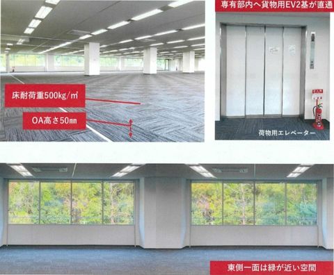 室内、荷物用EVも2基あります。