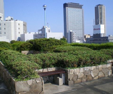 ビル屋上(入居者は自由に使用出来ます。)