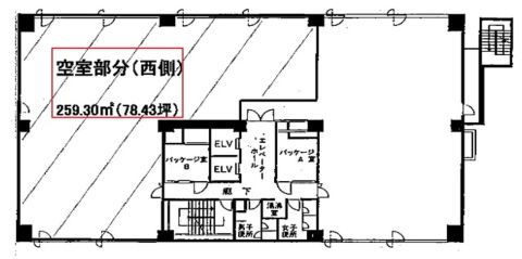 平面図