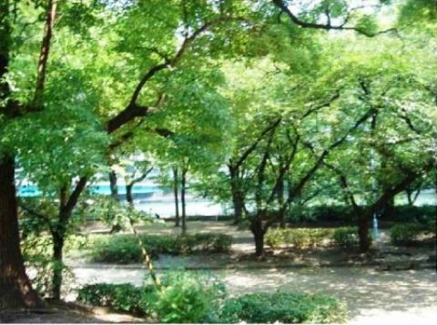 窓から緑と水辺が眺望できます。