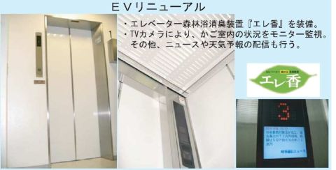 EV部分