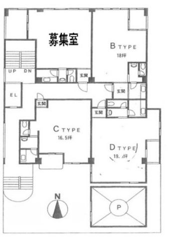 平面図