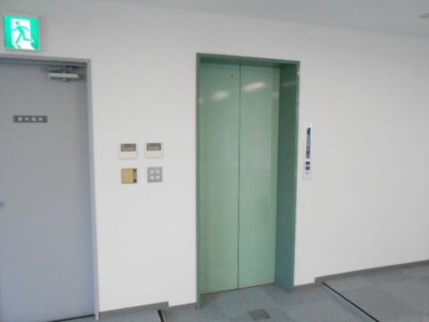 EV