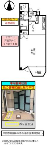 平面図