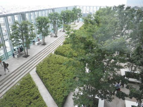 16階、庭園