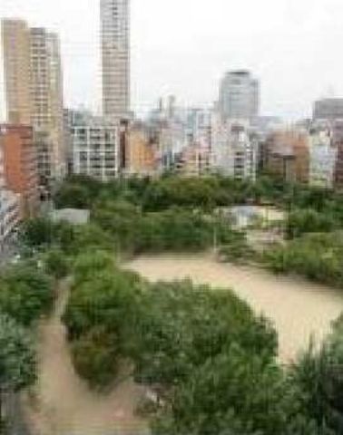 事務所近くの大江公園