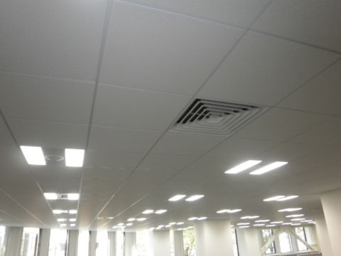 グリッド天井